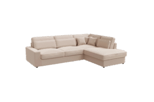 lexus beige (1)